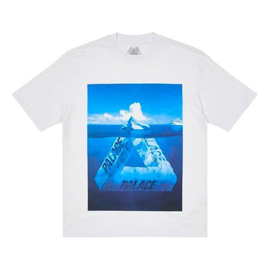 Palace Berg-Ferg T-Shirt 'Grey' P21TS182